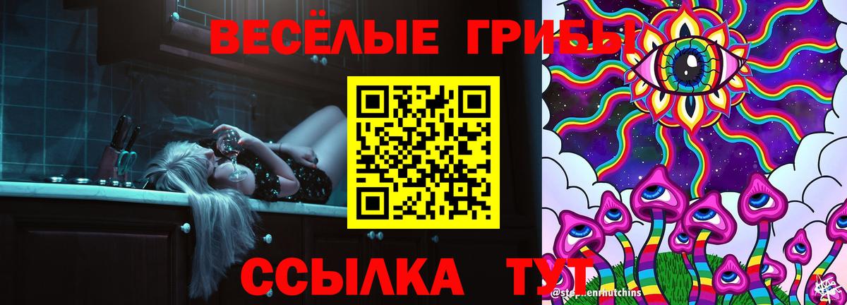 Галлюциногенные грибы Psilocybine cubensis Нефтекумск